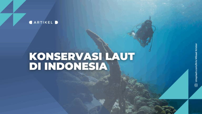 KONSERVASI LAUT DI INDONESIA