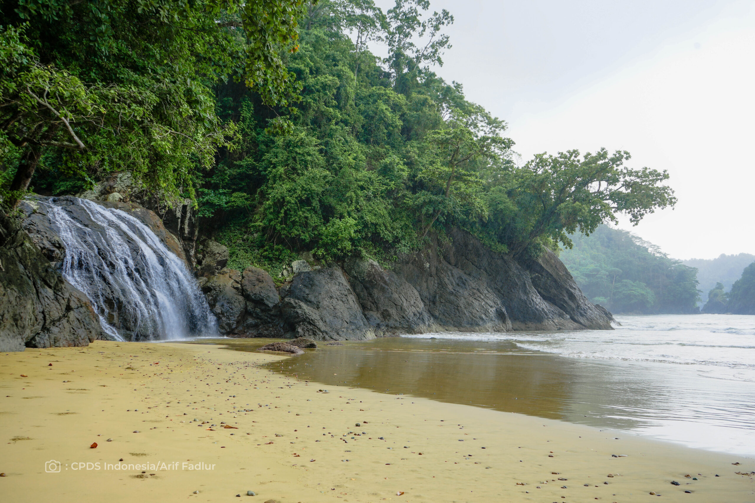 cpds indonesia-46