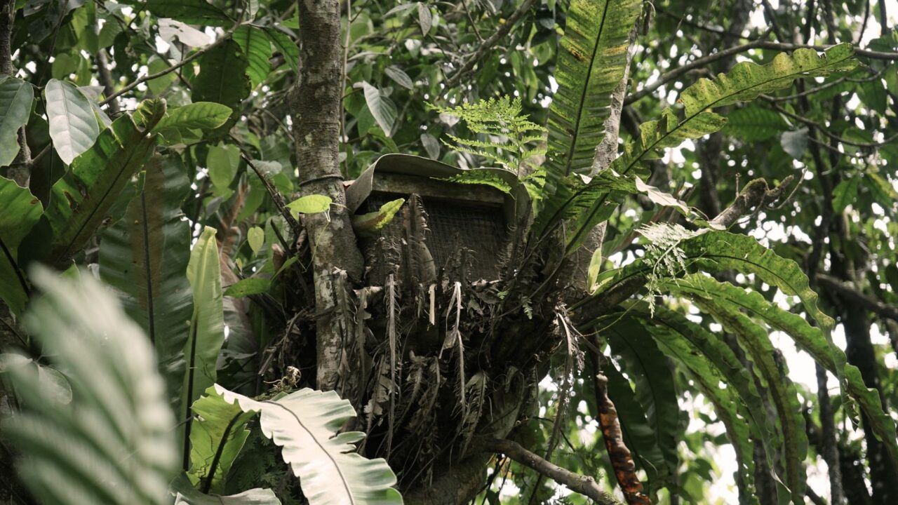 2-1280x720 Tata kelola agrikultur berkelanjutan di kawasan konservasi ranu darungan melalui pendekatan geospasial