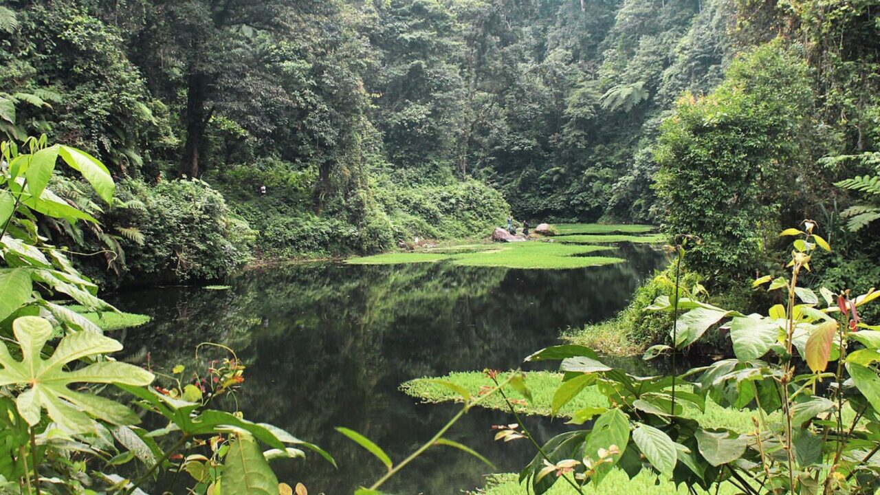 7-1280x720 Sustainable Tourism Concept melalui Novel Prioritization Approach di Kawasan Konservasi Ranu Darungan