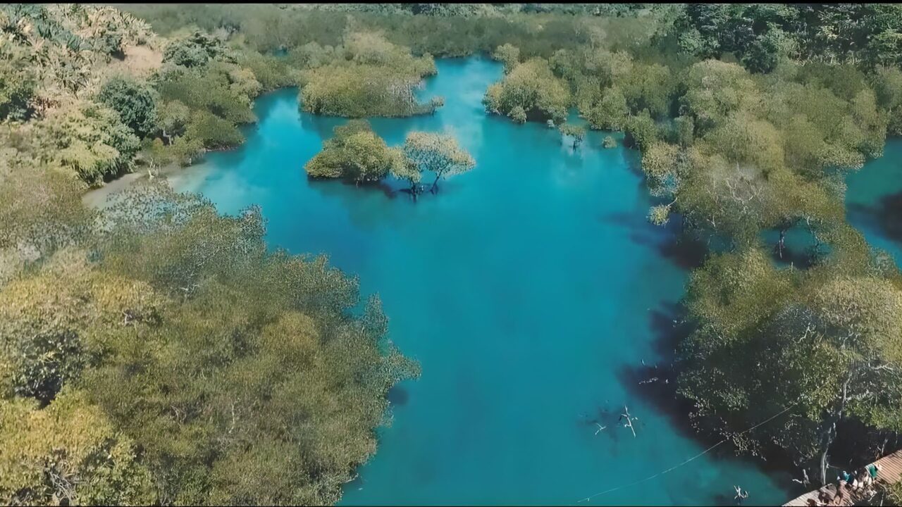 Cover-Proyek-Website-1280x720 Model Governance Networks Dalam Pengembangan Destinasi Ekowisata CMC (Clungkup Mangrove Conservation) Tiga Warna