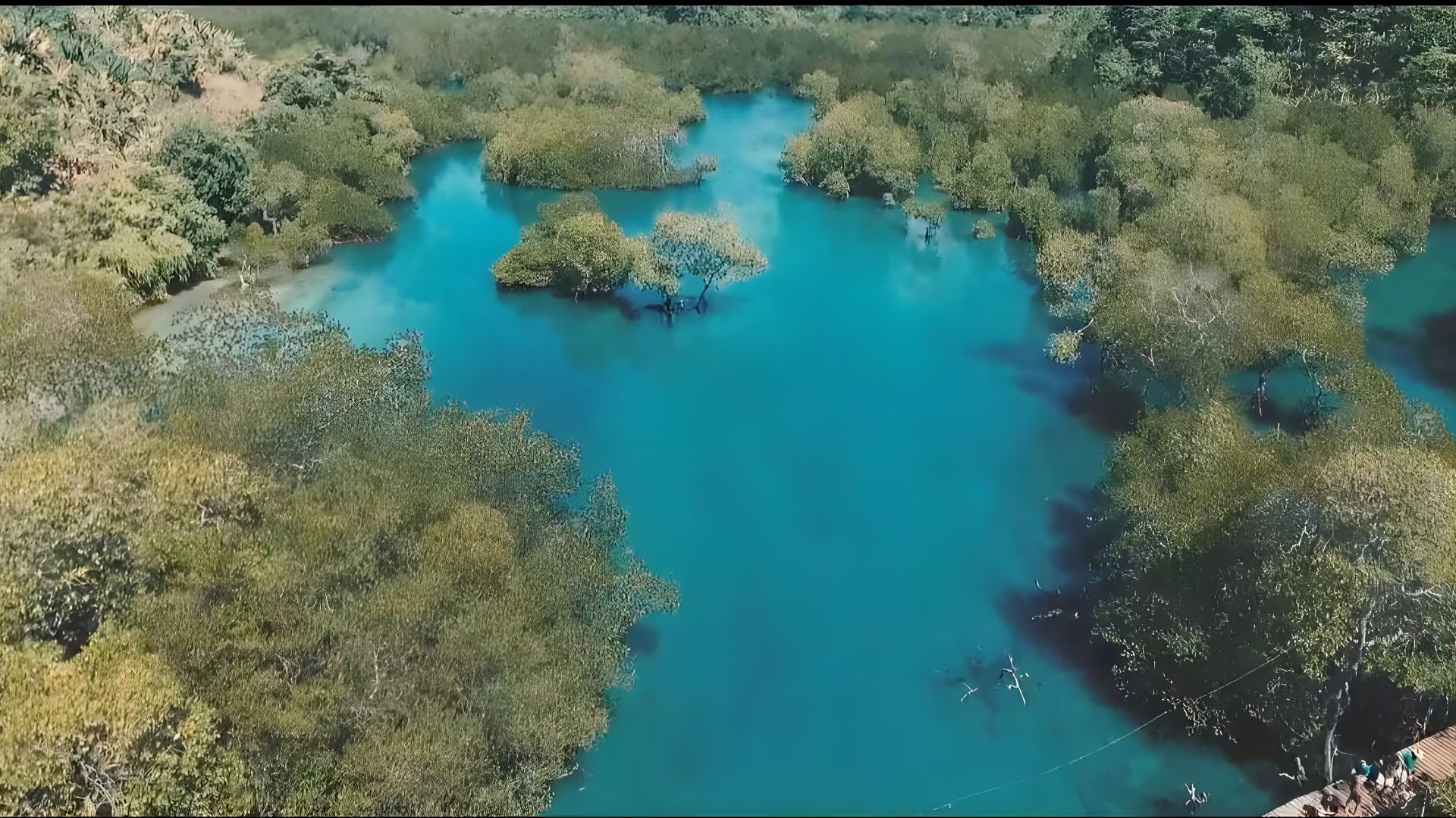 Cover-Proyek-Website Proyek